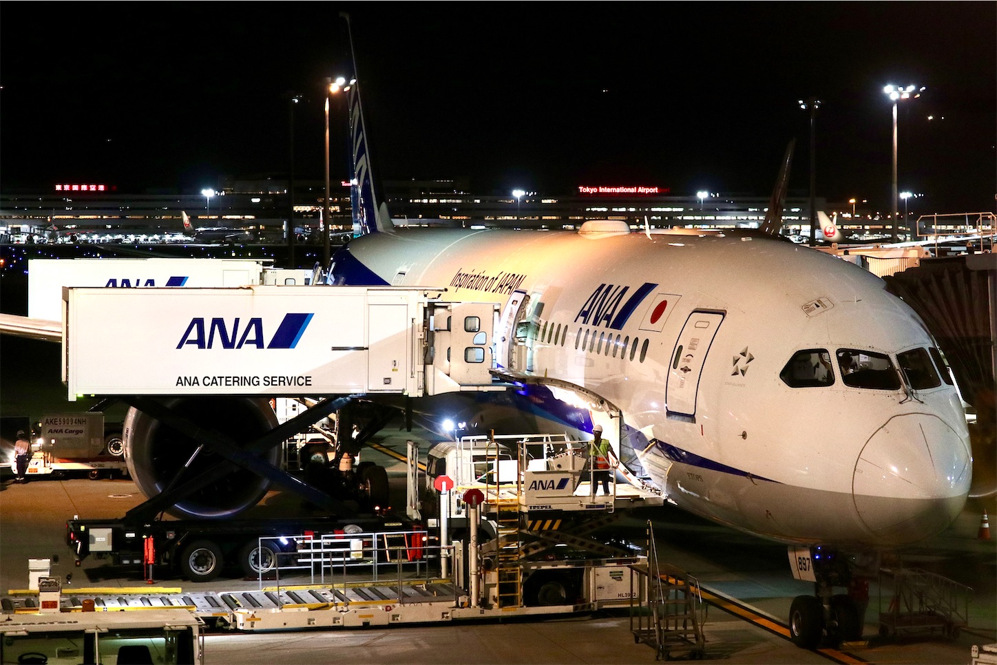 アンモナイト　エコノミー　6個 ANA B787-9（206席）エコノミークラス シート詳細|国際線|ANA
