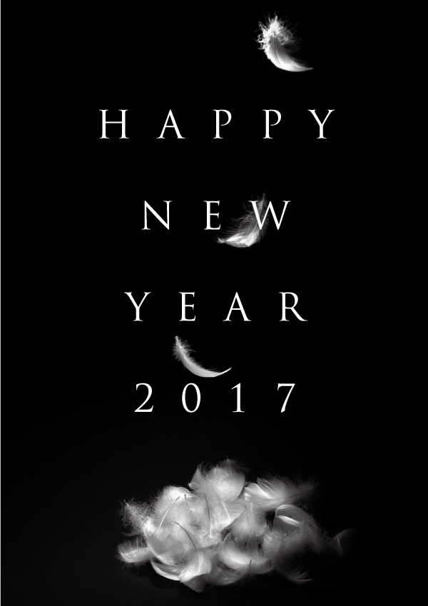 f:id:DSD:20170103151141j:plain f:id:DSD:20170103151141j:plain