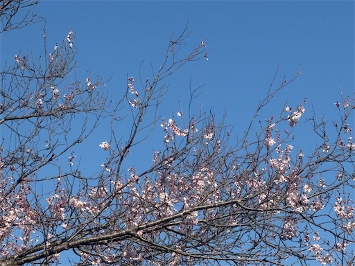 f:id:DT200A:20260322081343j:image