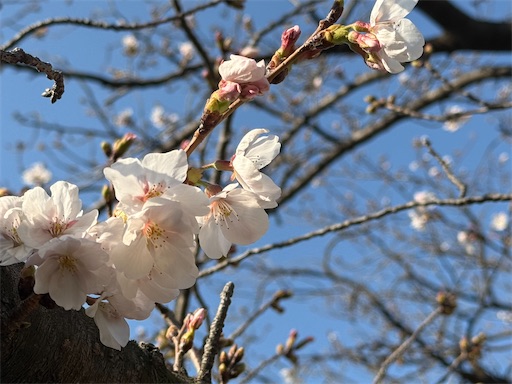 f:id:DT200A:20260324070640j:image