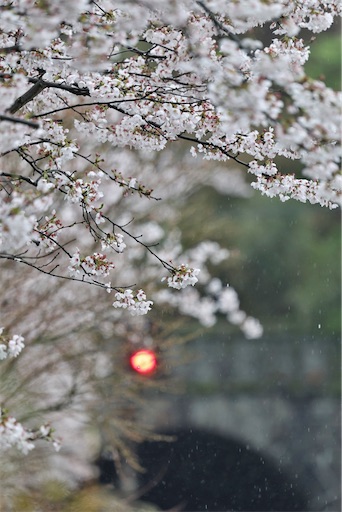 f:id:DT200A:20260405071032j:image
