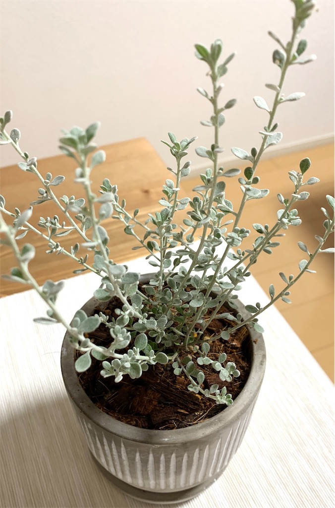 f:id:DYblog:20200925001650j:image