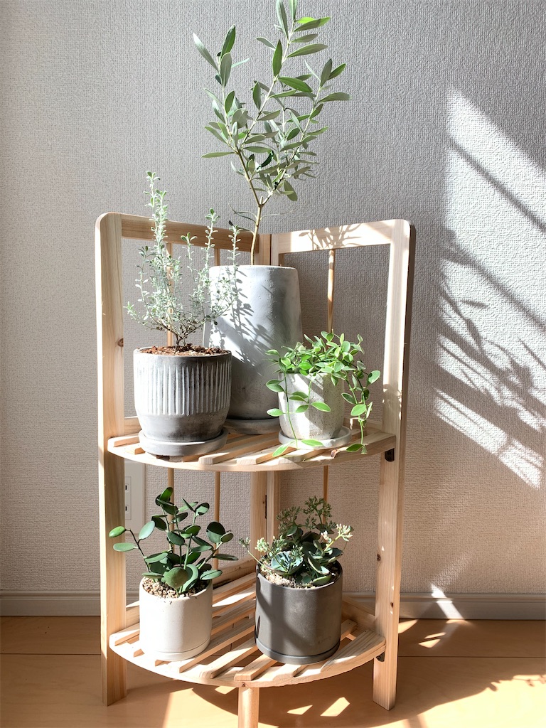 f:id:DYblog:20201021000248j:image f:id:DYblog:20201021000248j:image