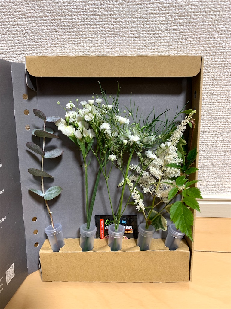f:id:DYblog:20210208004905j:image