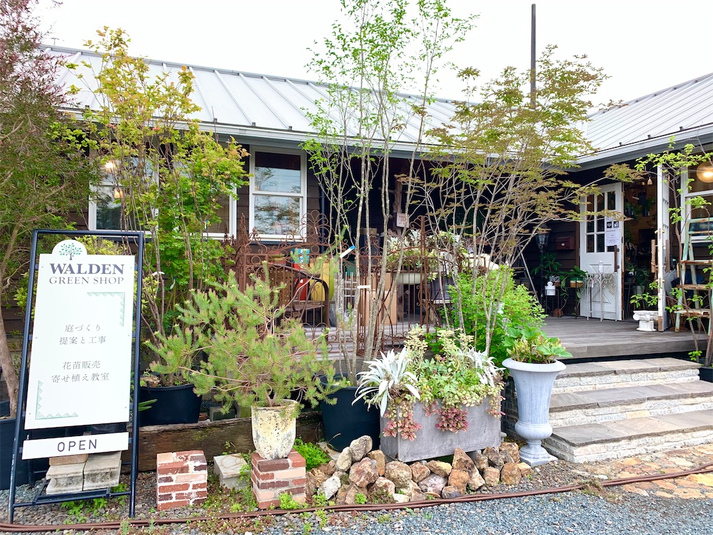 知立市 小さめだけれどお洒落な植物屋さん Walden Green Shop ウォールデングリーンショップ Dyblog 知立市 小さめだけれどお洒落な植物屋さん Walden Green Shop ウォールデングリーンショップ Dyblog