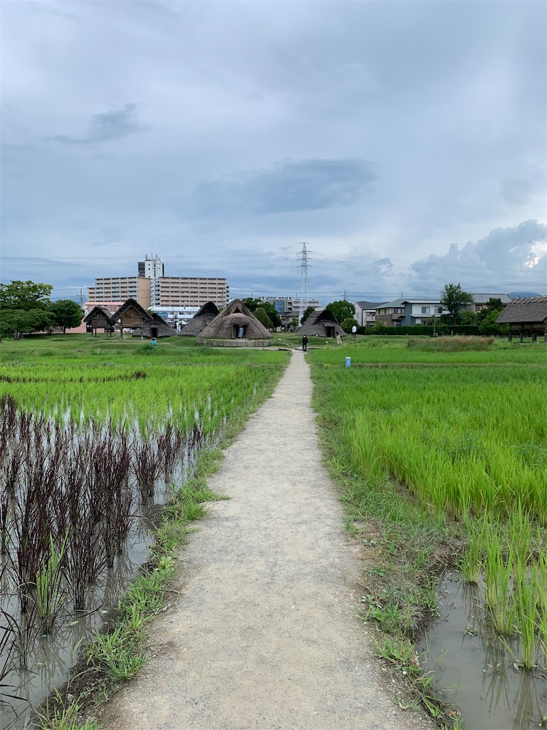 f:id:DYblog:20210810201349j:plain