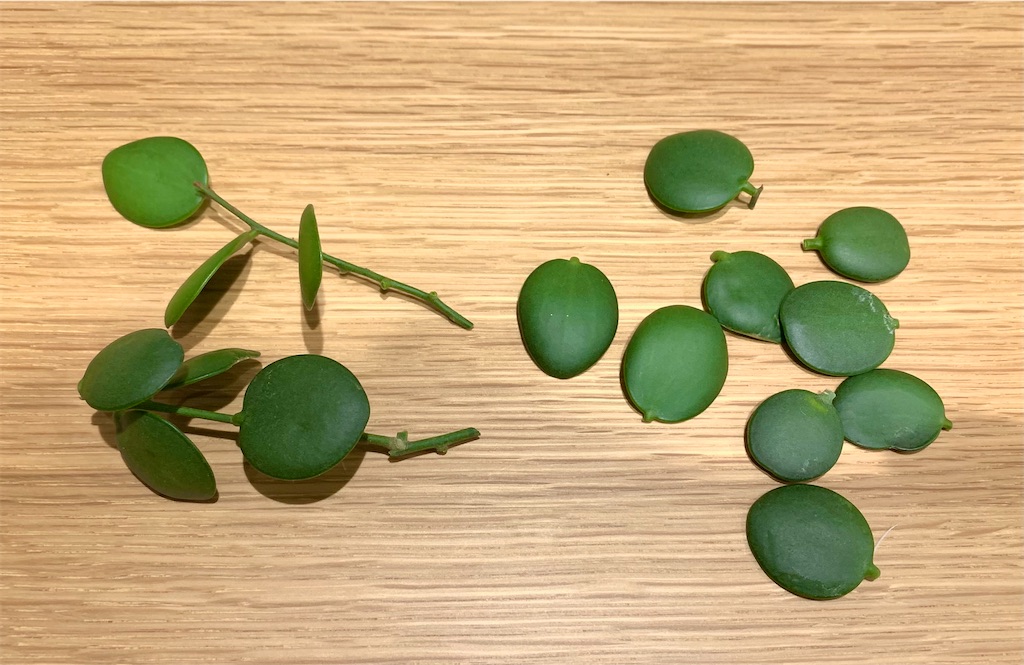 f:id:DYblog:20211009223527j:plain