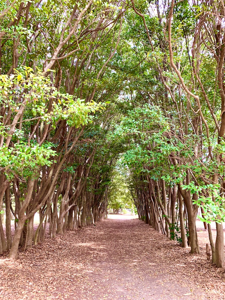 f:id:DYblog:20220403124531j:plain