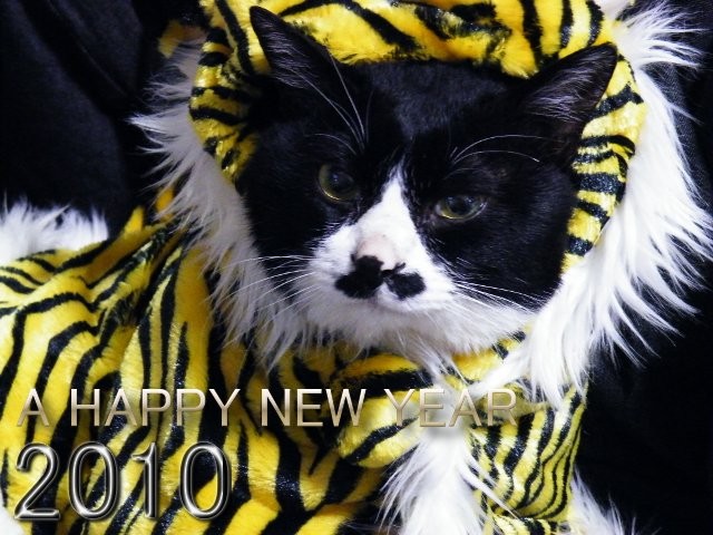 f:id:D_Amon:20100111222719j:image