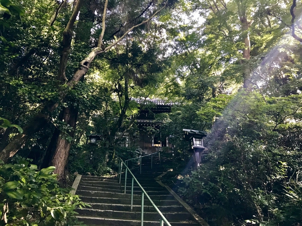 f:id:DaYoshi6263:20180926210819j:plain f:id:DaYoshi6263:20180926210819j:plain