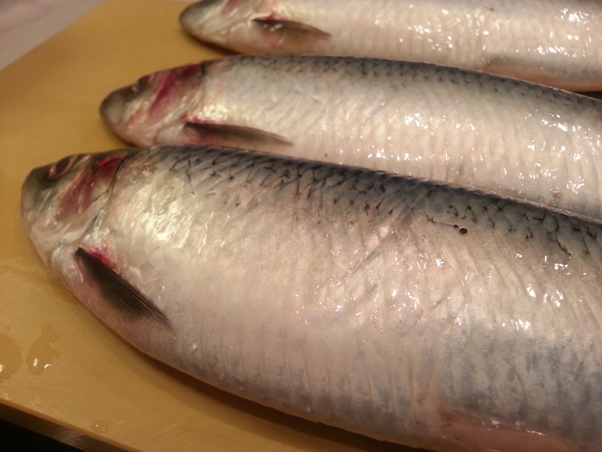 岩手産 ニシン 塩焼き 白子は天ぷらと干物で頂く よちよちエクスプレス