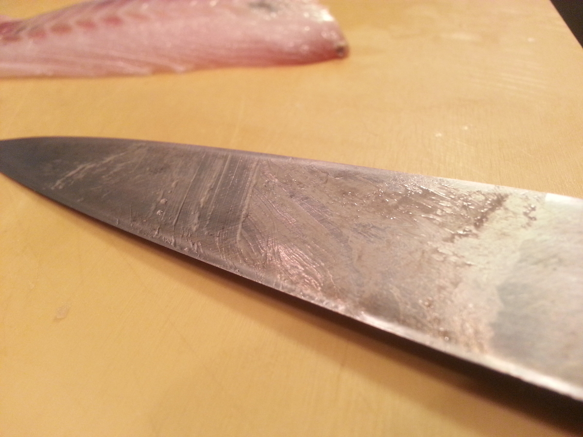 知名度低いが旨い魚 カイワリ アジ科 食べ方は刺身がおすすめ よちよちエクスプレス