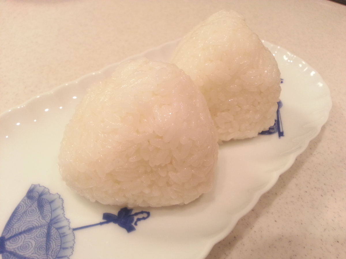 華麗 白おにぎり 送料無料 大盛食品 おにぎり塩 おにぎりの塩 おにぎり おむすび 70g