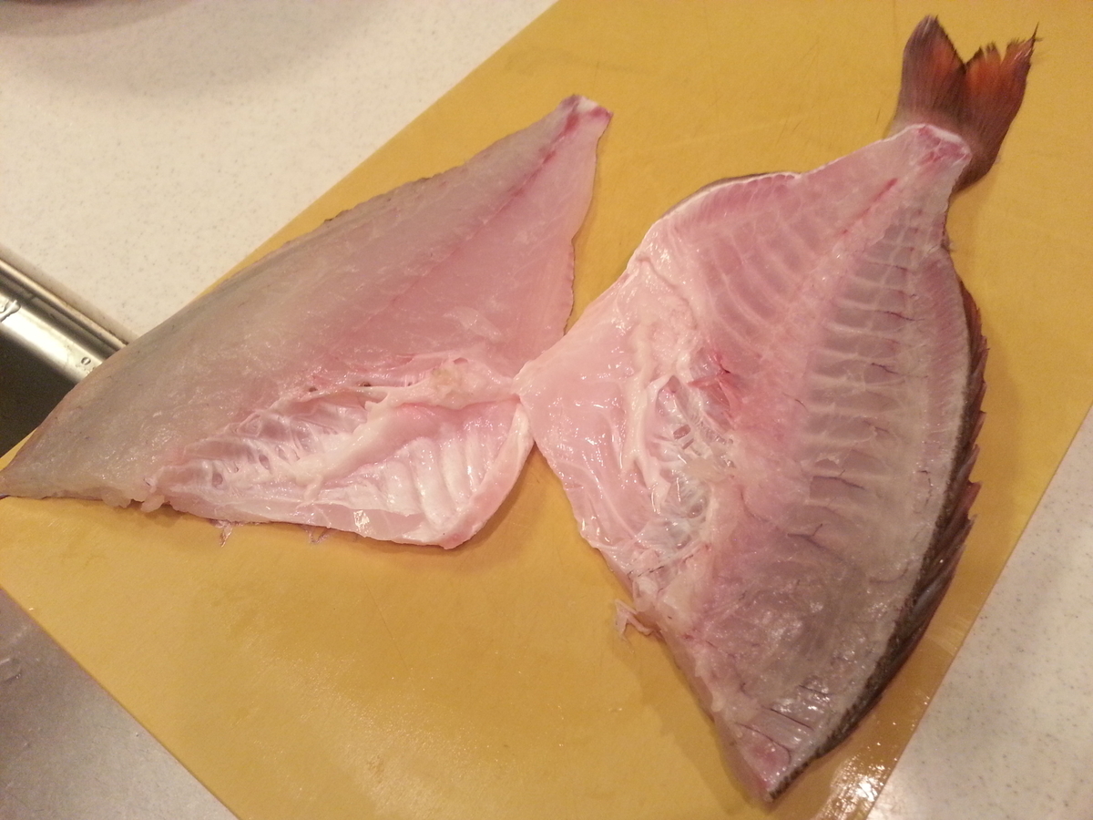 侮るなかれ養殖真鯛 提案レシピは鯛しゃぶ 刺身 鯛飯おにぎり よちよちエクスプレス