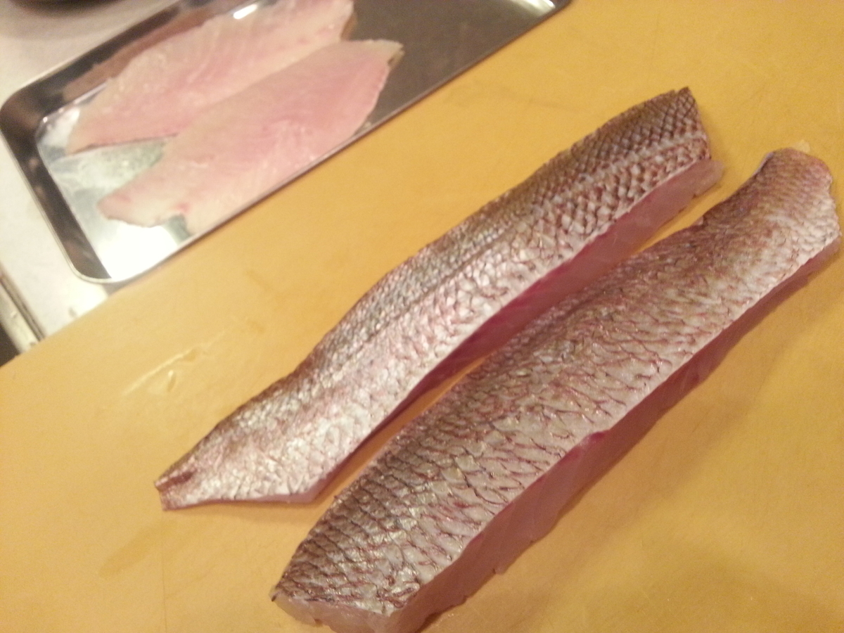 侮るなかれ養殖真鯛 提案レシピは鯛しゃぶ 刺身 鯛飯おにぎり よちよちエクスプレス