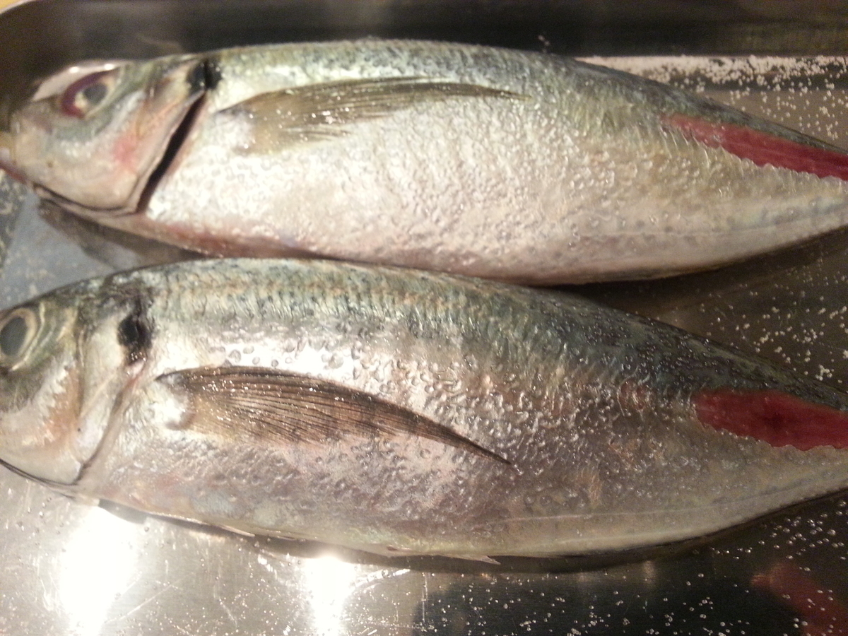 スーパーの魚で塩焼き 臭み無く 見栄え良し 焼き方のコツ アジ よちよちエクスプレス