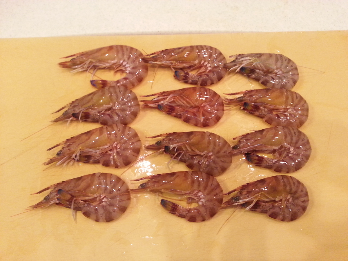 実践 車海老の解凍方法と刺身 ボイル 塩焼き作り方 レシピ 食べ方 よちよちエクスプレス