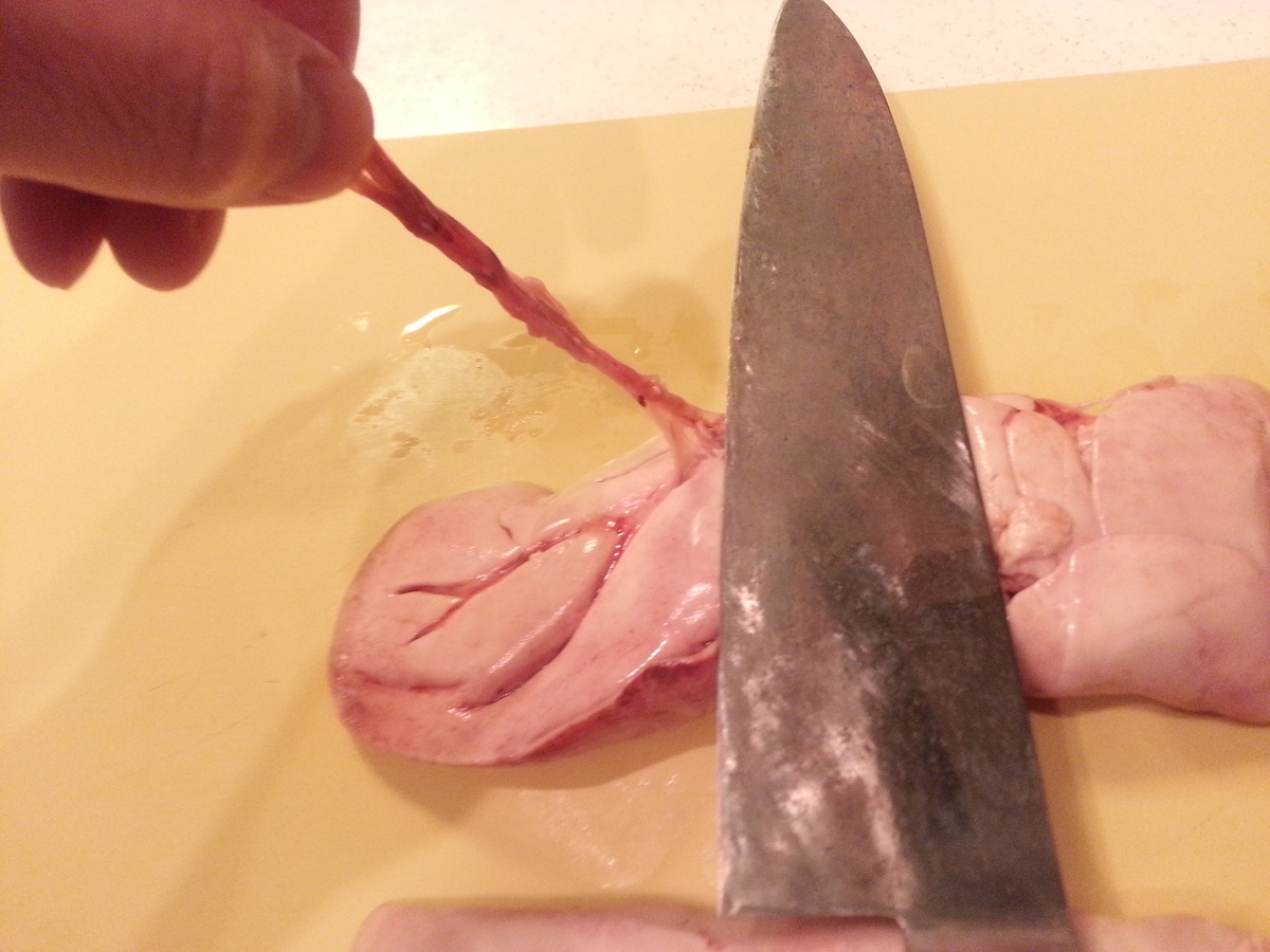 臭みを取る下処理が鍵 蒸しあん肝 作り方 おすすめの食べ方 よちよちエクスプレス