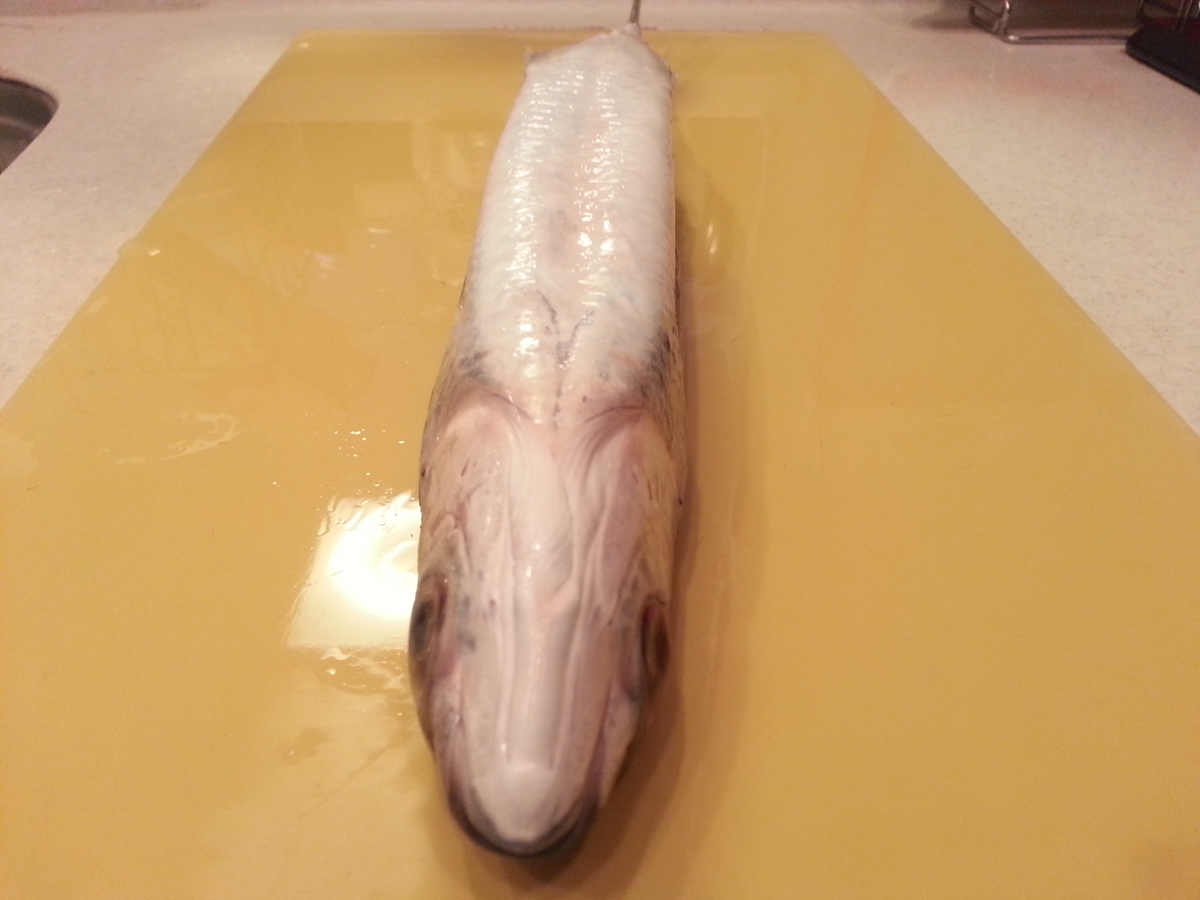 トビウオ 飛魚 の刺身 タタキは出汁茶漬けでいかが 食べ方 よちよちエクスプレス