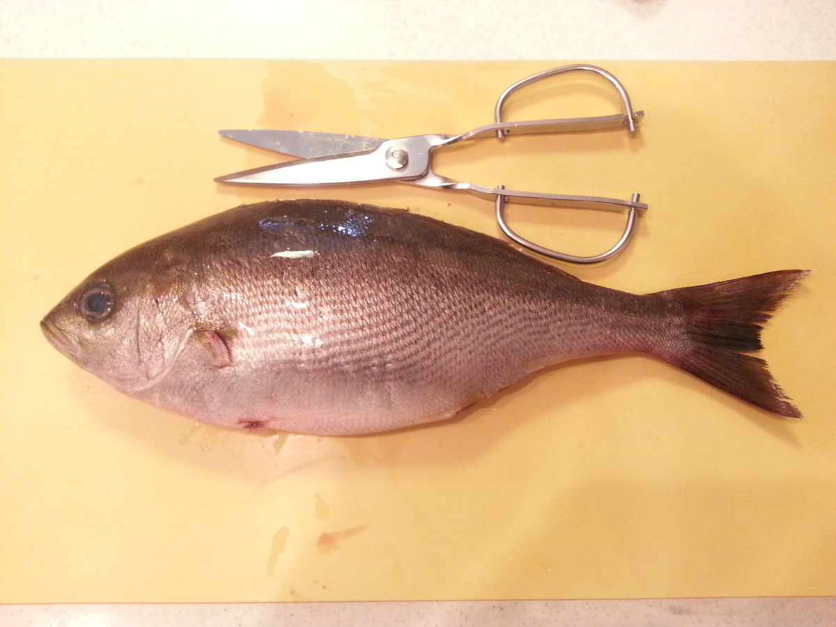 実践レビュー キッチンスパッター を骨の硬い魚に使ってみた イサキ 口コミ よちよちエクスプレス