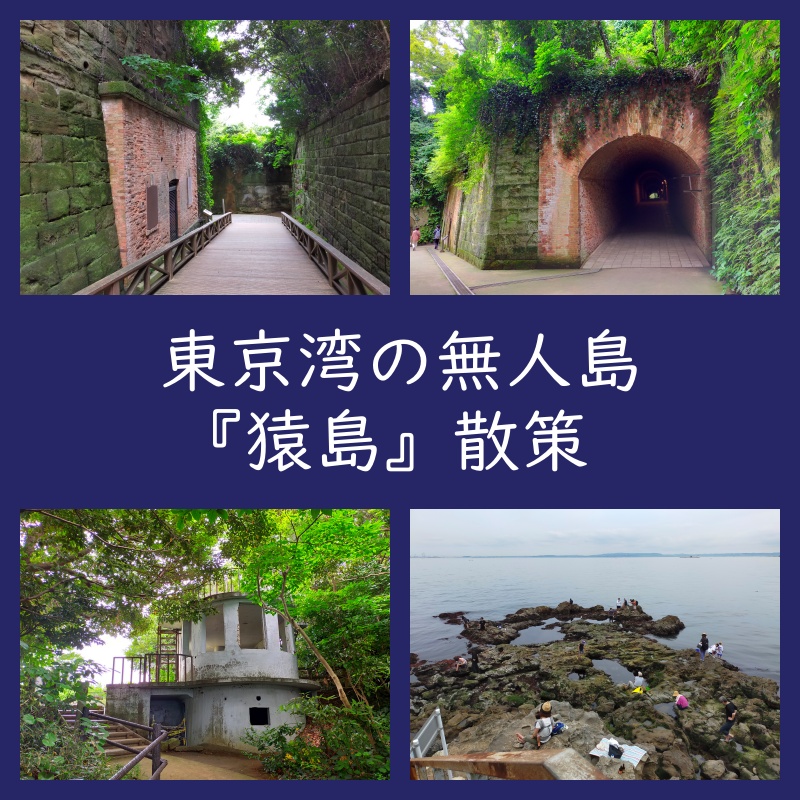 幻想的 東京湾の無人島 猿島 を散策 観光 遊び ブログ 口コミ よちよちエクスプレス