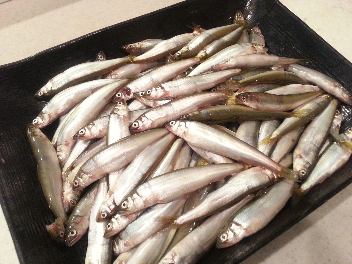 琵琶湖 小鮎 で料理 塩焼き 甘露煮 天ぷら 唐揚げ 南蛮漬け よちよちエクスプレス