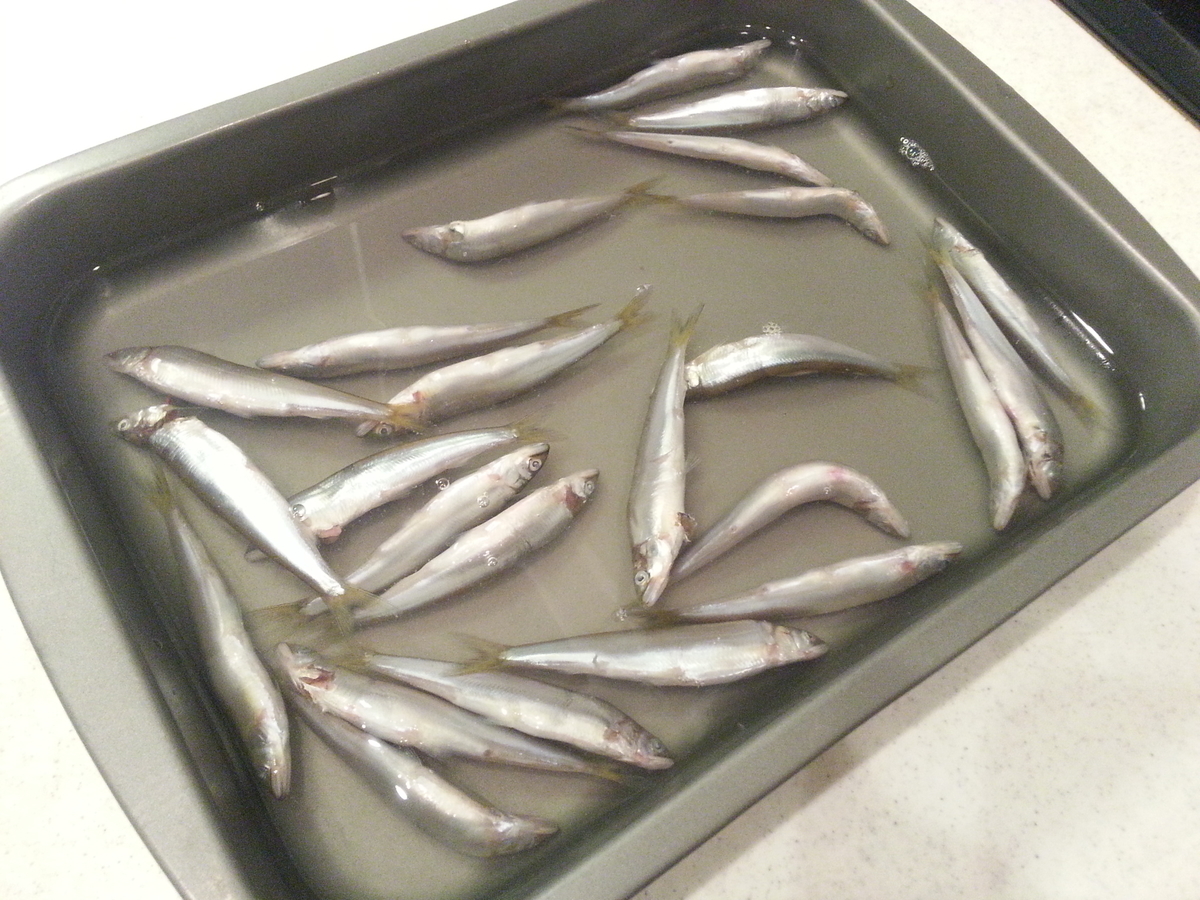 琵琶湖 小鮎 で料理 塩焼き 甘露煮 天ぷら 唐揚げ 南蛮漬け よちよちエクスプレス