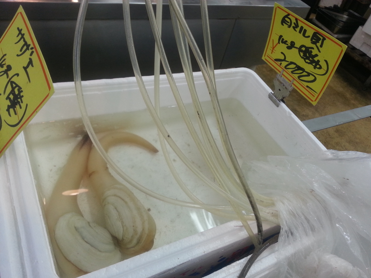 白ミル貝 ナミガイ の捌き方 料理は刺身 浜焼き 肝バター焼き よちよちエクスプレス