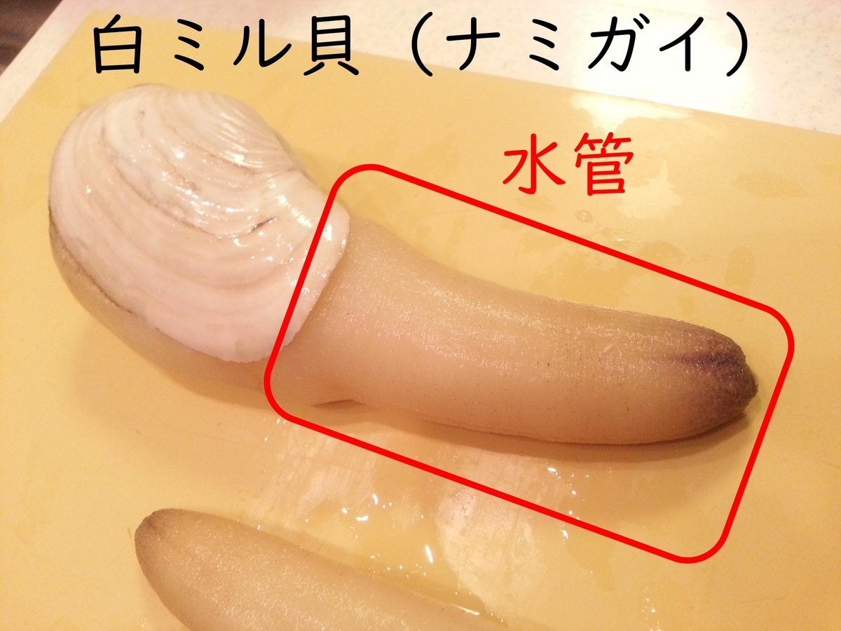 白ミル貝 ナミガイ の捌き方 料理は刺身 浜焼き 肝バター焼き よちよちエクスプレス