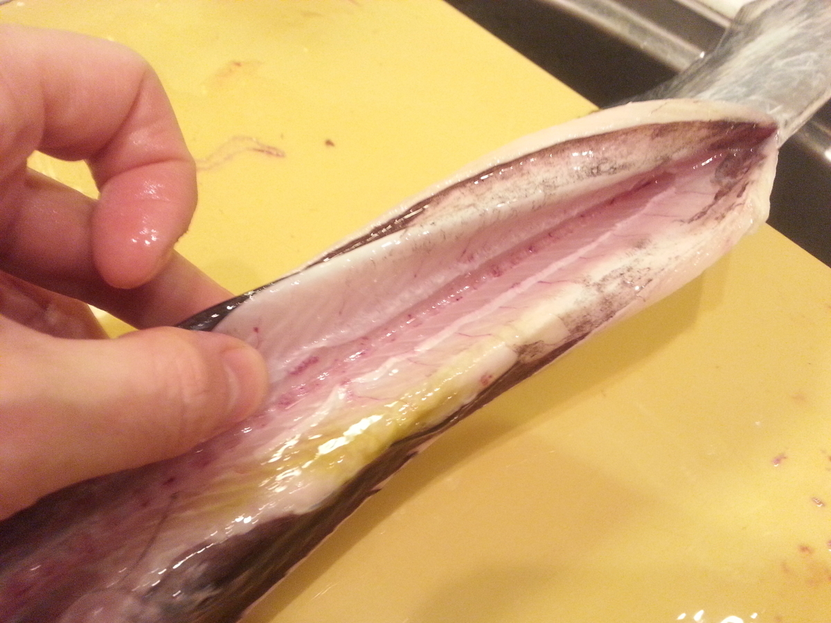 意外と捌くの簡単 太刀魚 塩焼きの作り方 肝は味噌汁へ よちよちエクスプレス