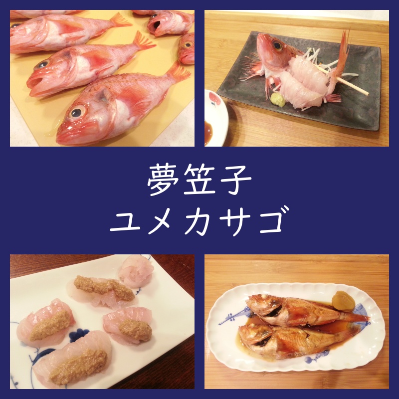 ユメカサゴは夢の味 刺身 肝醤油 と煮付けで食べてみる よちよちエクスプレス