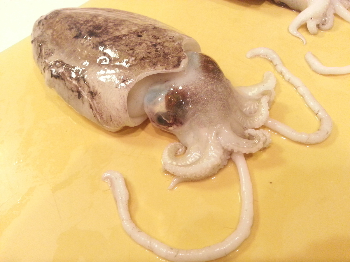 実践 コウイカ スミイカ 捌き方 料理は刺身 塩ゆで 煮物 フライ よちよちエクスプレス