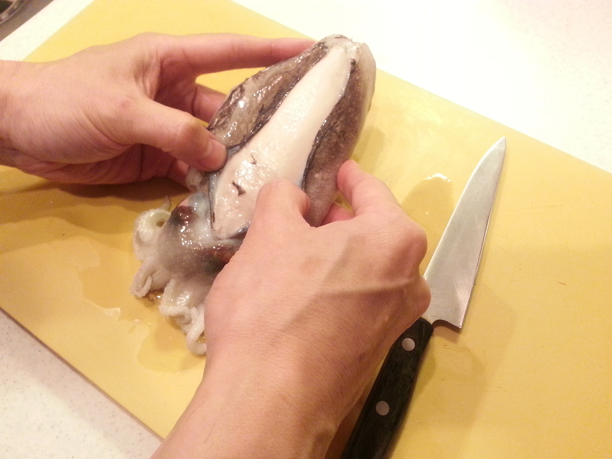 実践 コウイカ スミイカ 捌き方 料理は刺身 塩ゆで 煮物 フライ よちよちエクスプレス