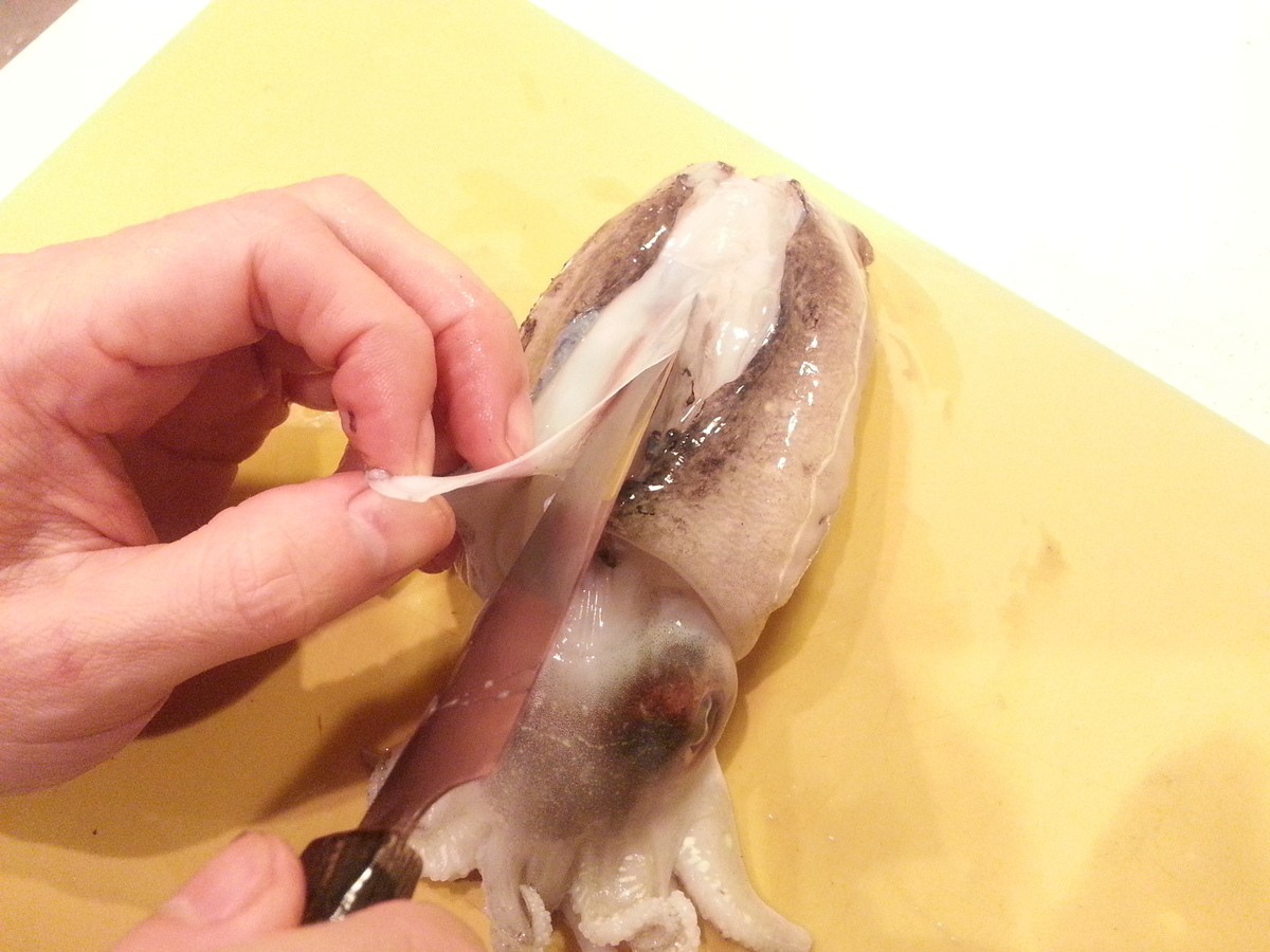 実践 コウイカ スミイカ 捌き方 料理は刺身 塩ゆで 煮物 フライ よちよちエクスプレス