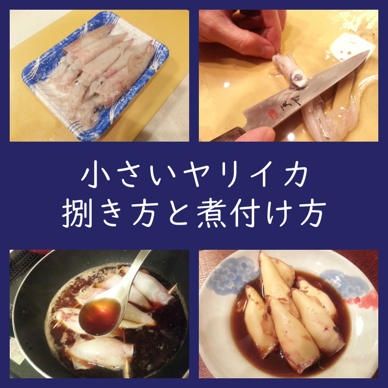 小さいヤリイカ 捌き方と煮付け方 レシピ 煮物 作り方 よちよちエクスプレス