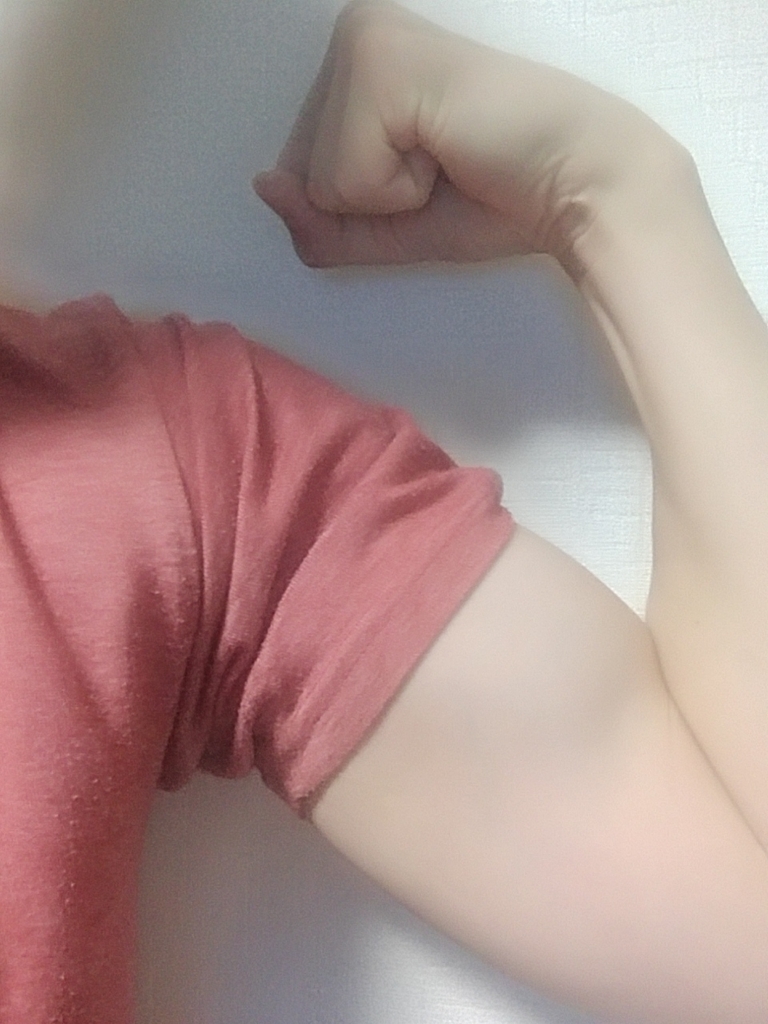 f:id:Daij:20190131030405j:plain f:id:Daij:20190131030405j:plain