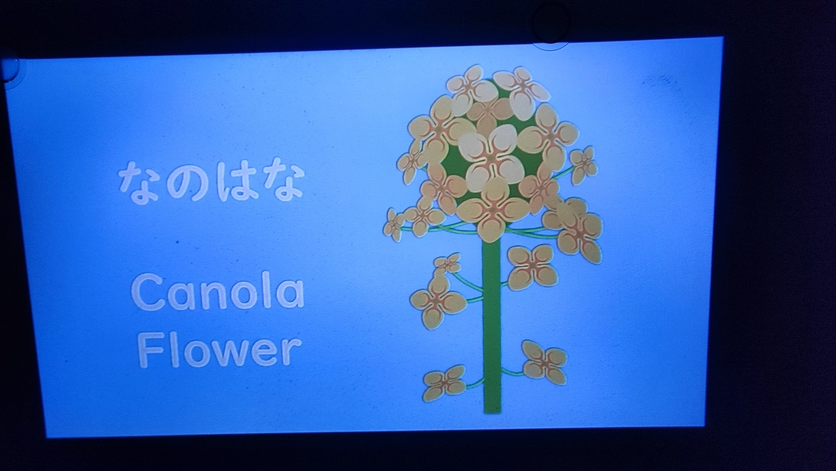 収録内の英語（花の名前）の画像