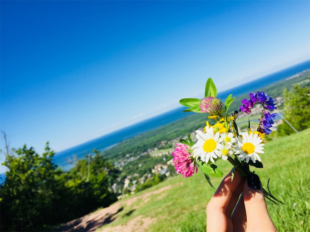 f:id:Dakujem:20190510214137j:image