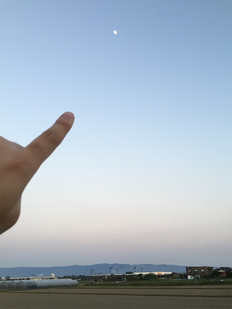 f:id:Dakujem:20190515143143j:image f:id:Dakujem:20190515143143j:image