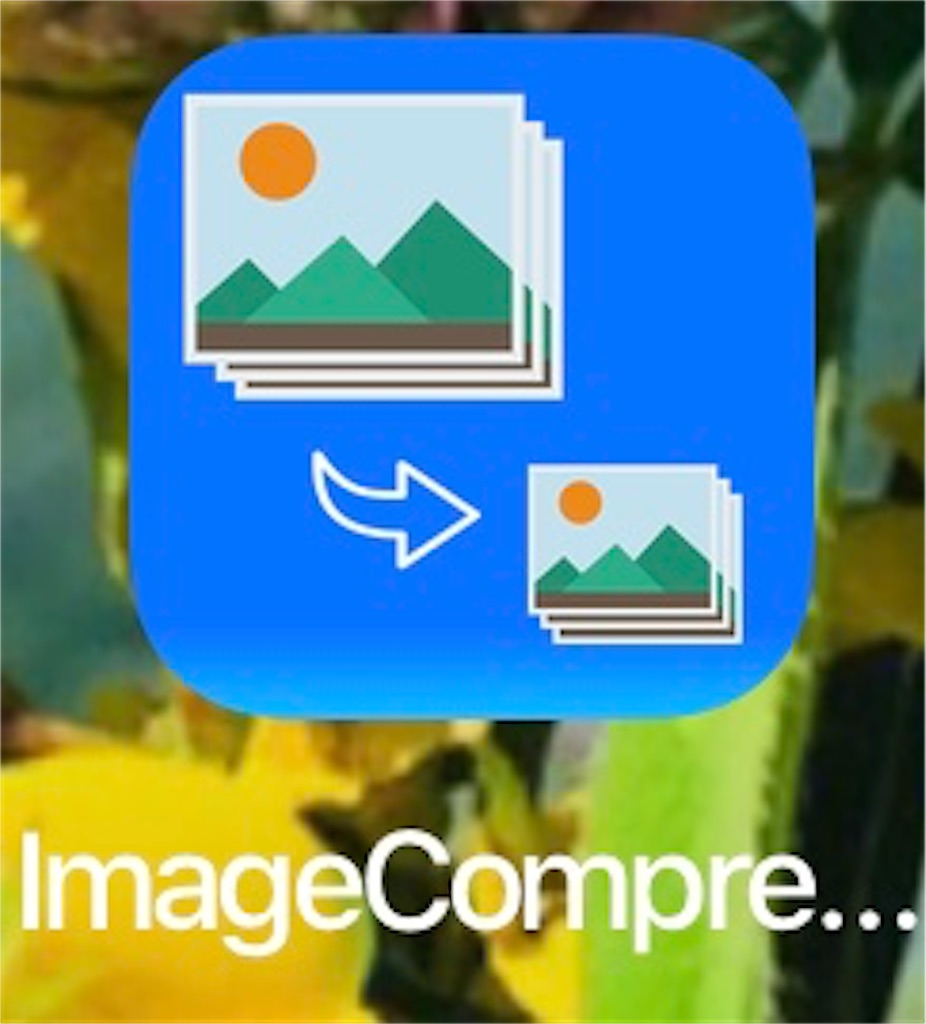 f:id:Dakujem:20191128022808j:image f:id:Dakujem:20191128022808j:image