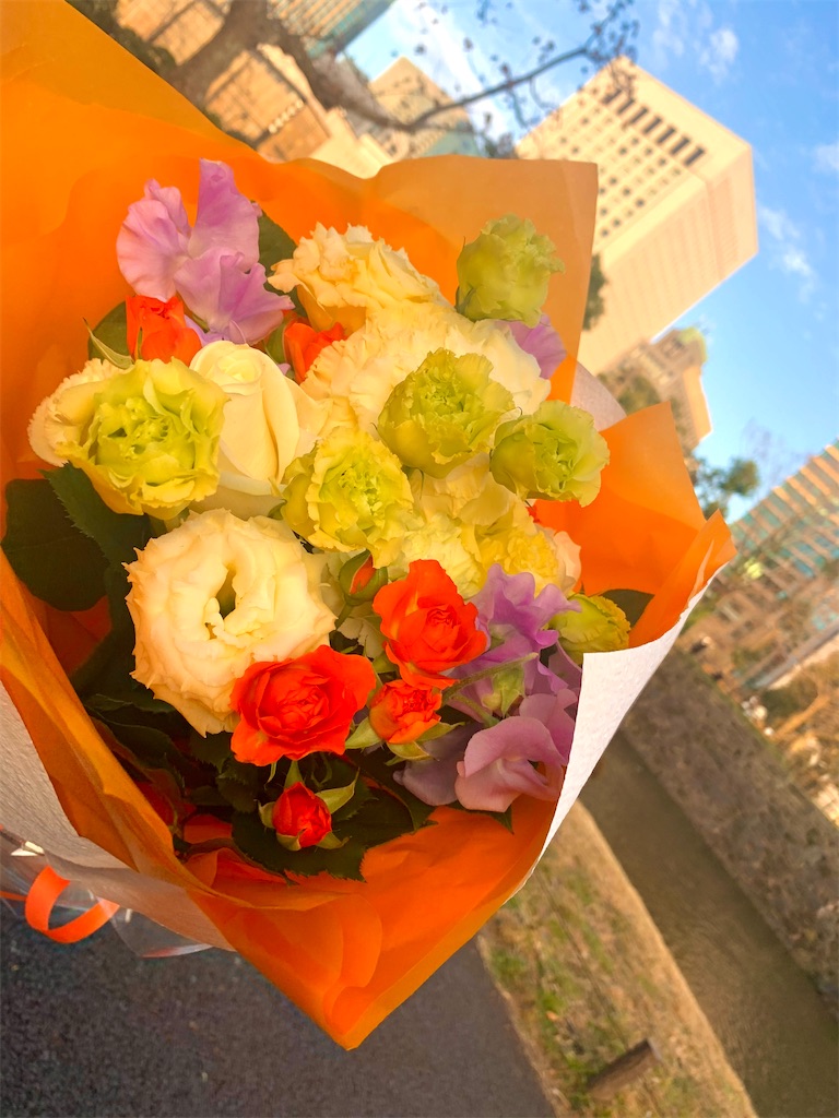 f:id:Dakujem:20210214185456j:image f:id:Dakujem:20210214185456j:image