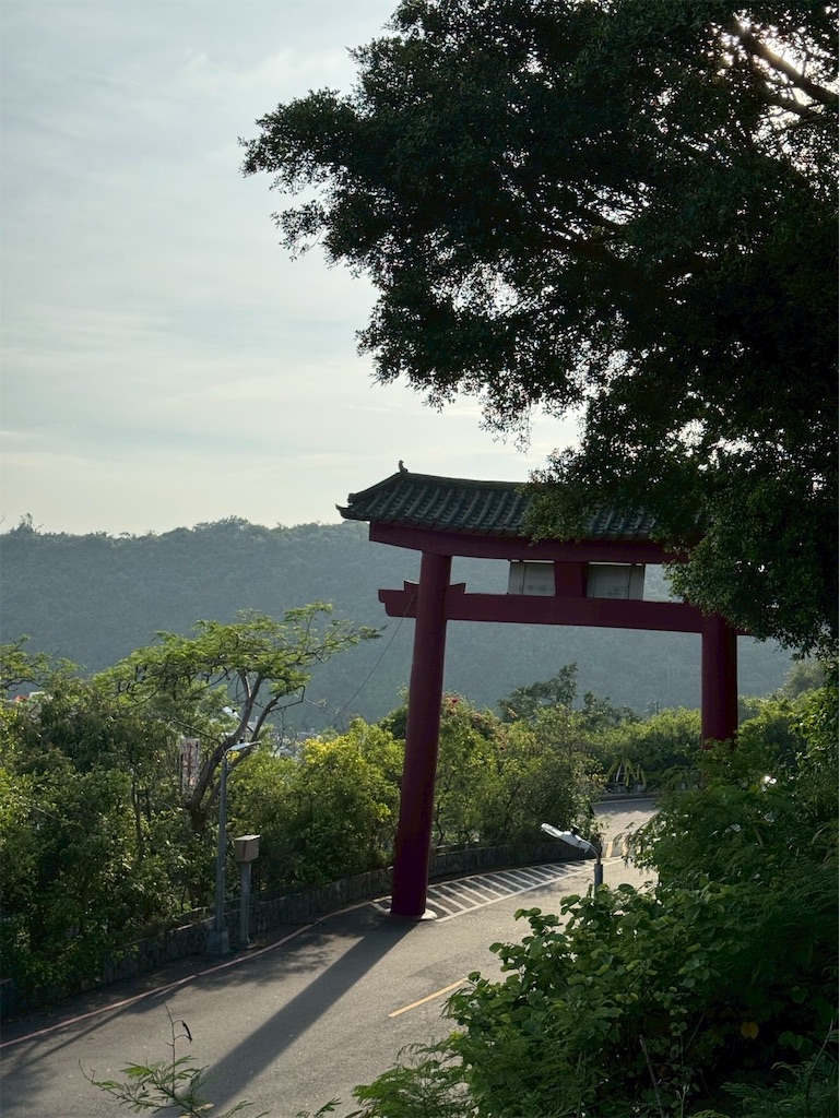 f:id:DaliNeko:20250701183029j:image