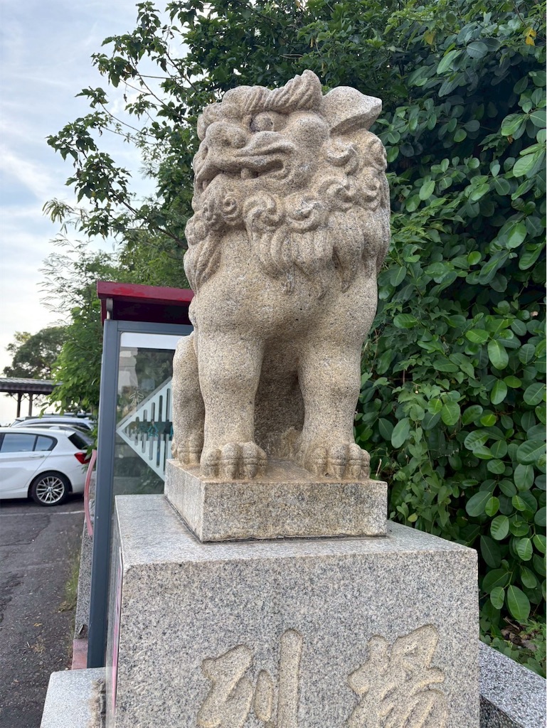 f:id:DaliNeko:20250701183114j:image