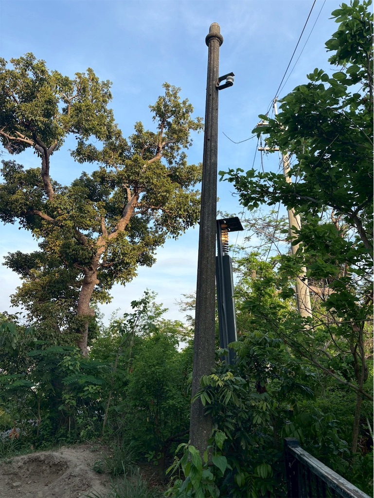 f:id:DaliNeko:20250701183159j:image