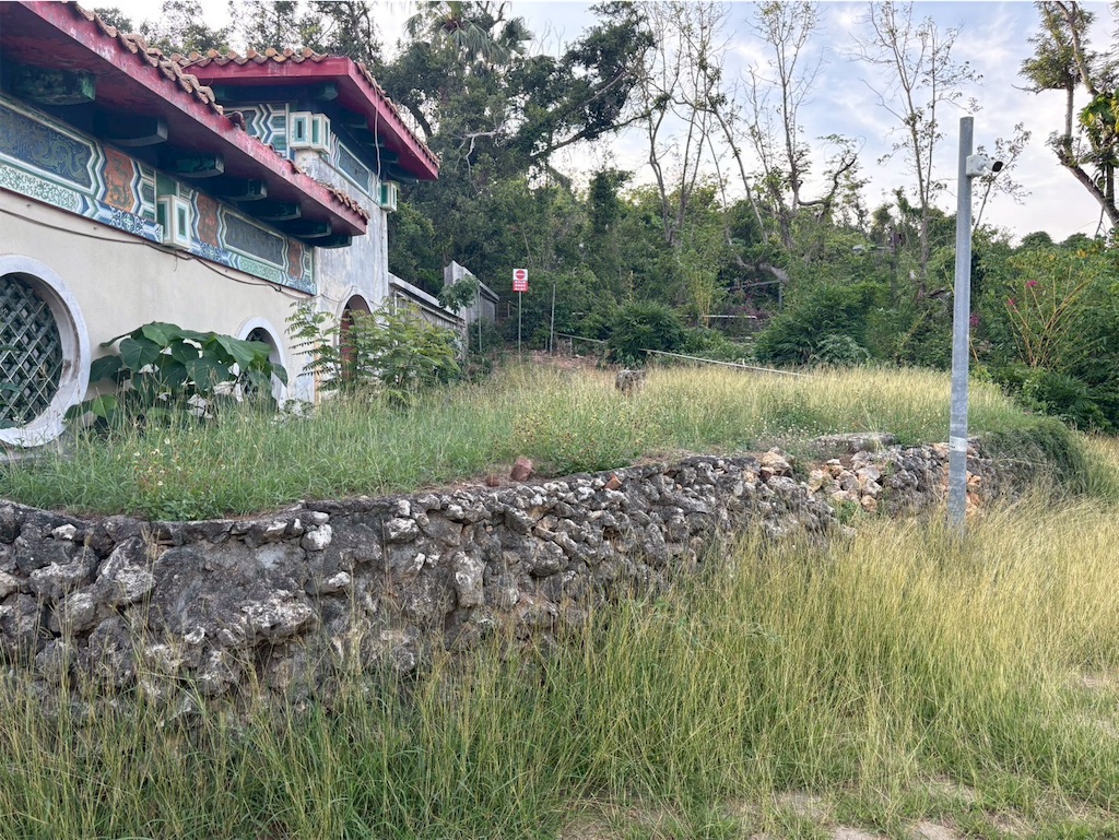 f:id:DaliNeko:20250701183202j:image