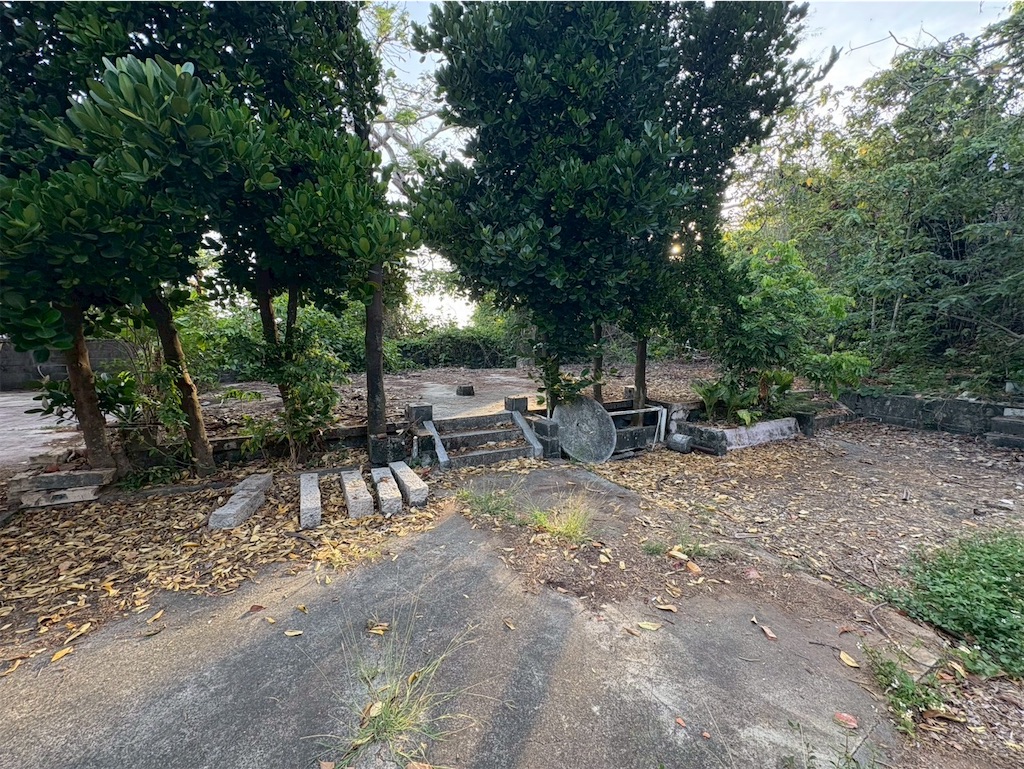 f:id:DaliNeko:20250701183207j:image