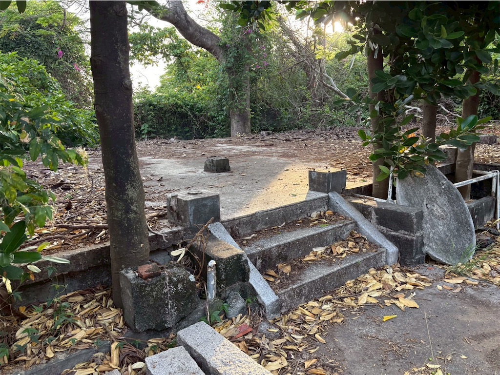 f:id:DaliNeko:20250701183211j:image