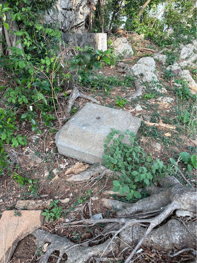 f:id:DaliNeko:20250701183214j:image