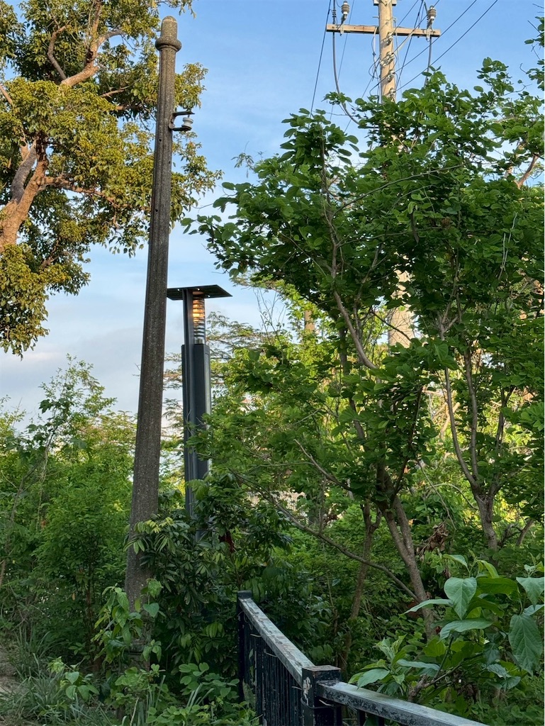 f:id:DaliNeko:20250701183216j:image