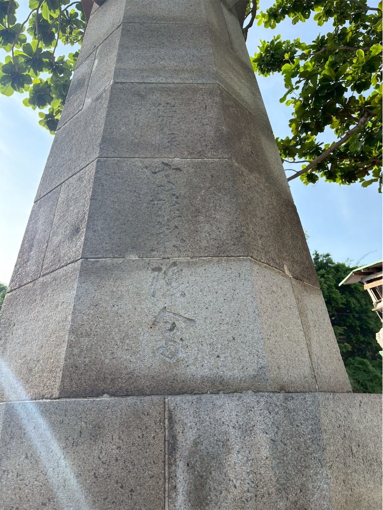 f:id:DaliNeko:20250701190137j:image